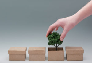 Sustainable Packaging – So What Is Best Practice?