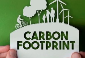 Webinar: Your Business and Carbon
