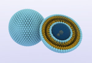 Liposomes for the New Zealand Food Industry